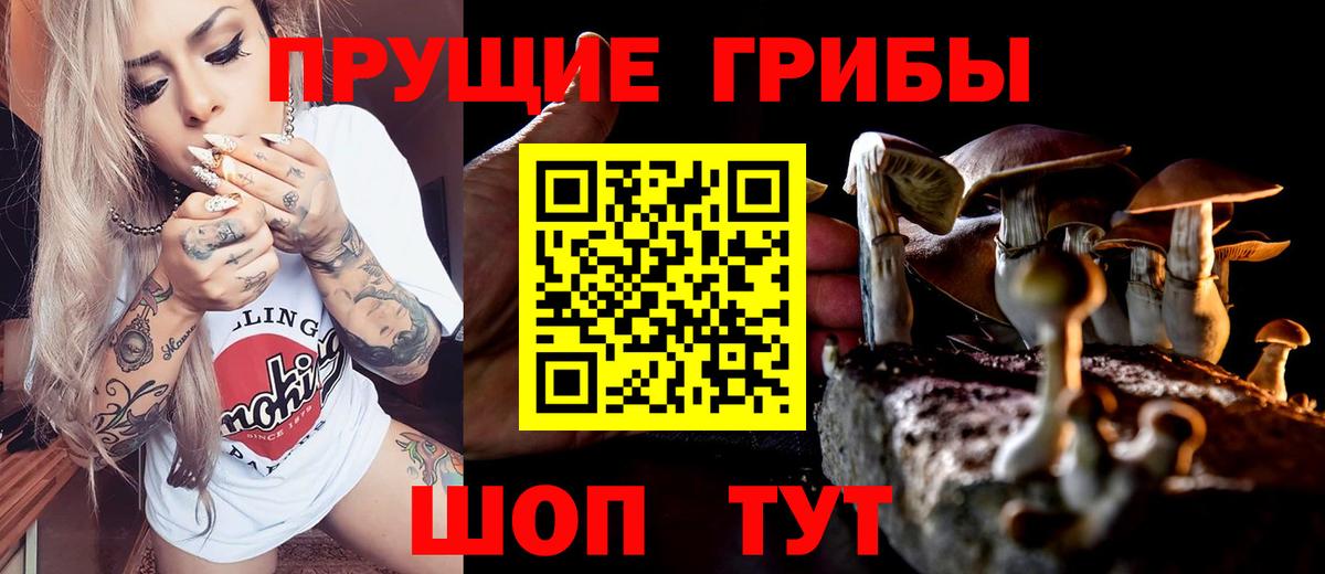 Углич  Псилоцибиновые грибы MAGIC MUSHROOMS  Псилоцибиновые грибы Cubensis  купить закладку  Вход с VPN 