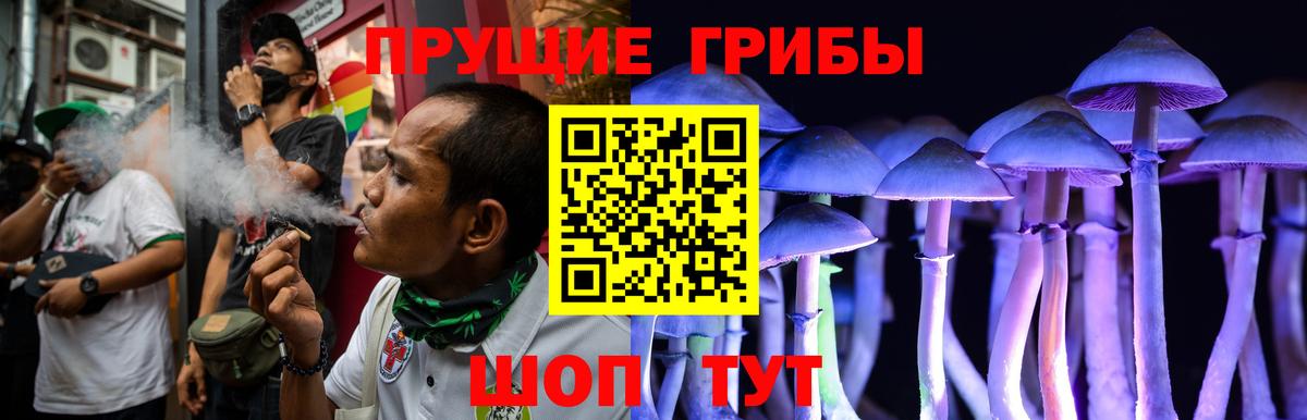 Галлюциногенные грибы Psilocybe Углич